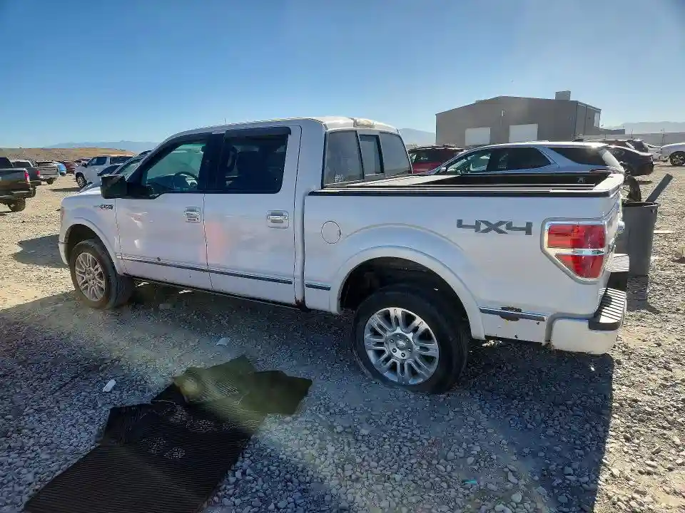 1FTFW1EV8AFA65681 2010 FORD F150-1