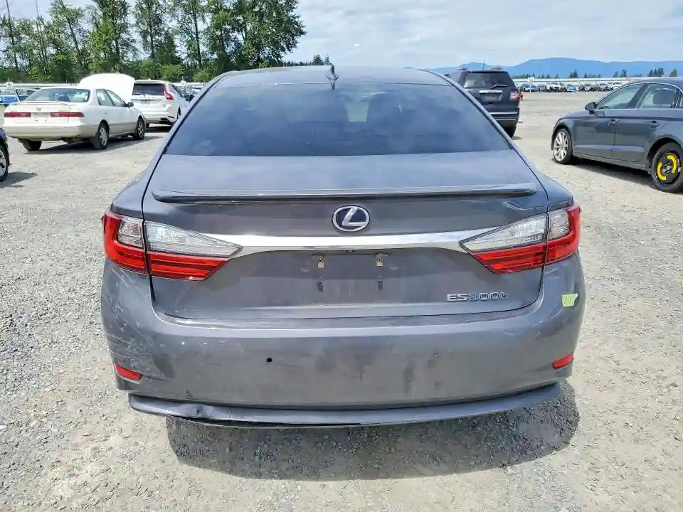 JTHBW1GG9G2120053 2016 LEXUS ES300-5