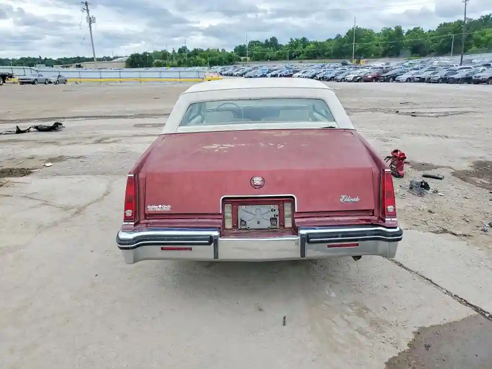 1G6AL5789EE667604 1984 CADILLAC ELDORADO-5