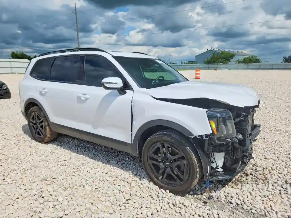 5XYP5DGC4RG543818 2024 KIA TELLURIDE-3