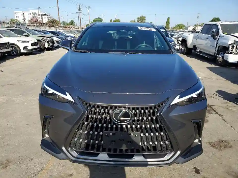 2T2ADCAZ9RC009947 2024 LEXUS NX-4