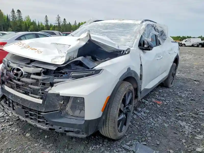 5NTJEDDF0RH102900 2024 HYUNDAI SANTA CRUZ-0