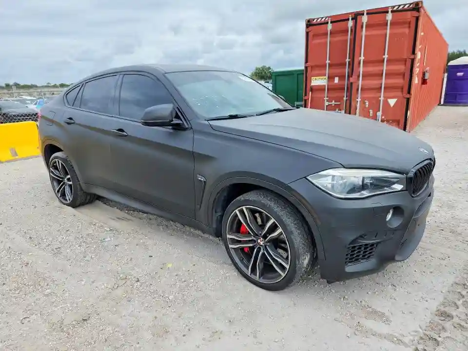 5YMKW8C34H0U72135 2017 BMW X6-3