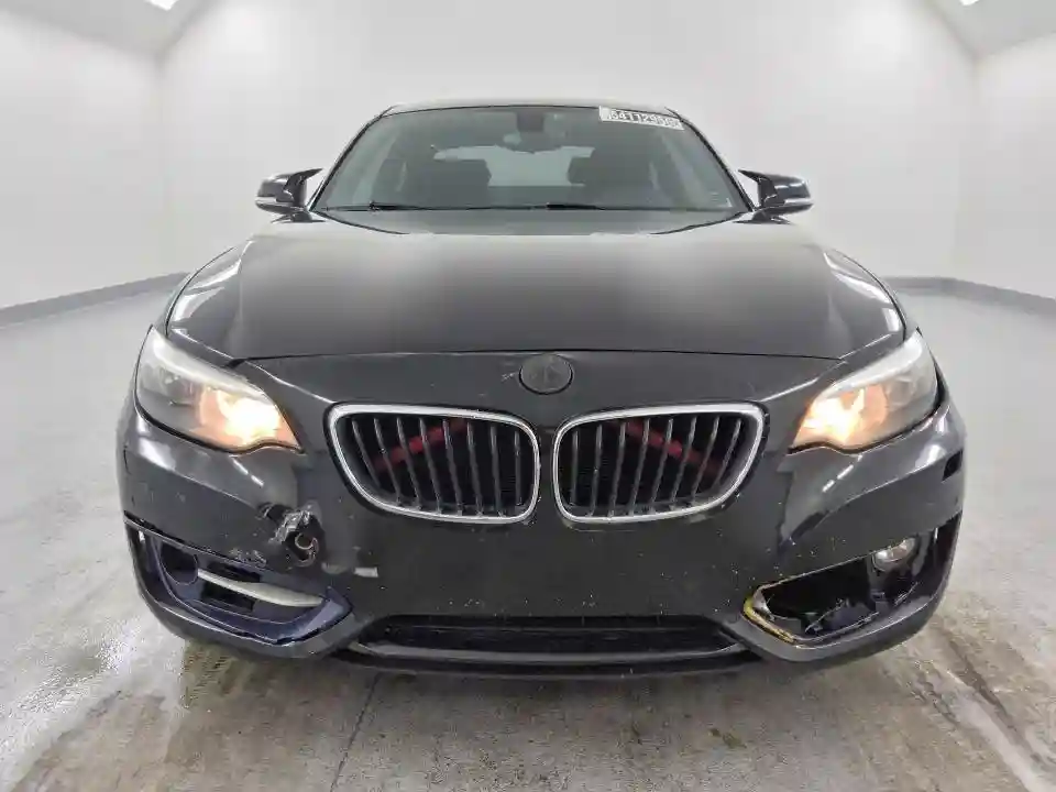 WBA2H9C34HV987015 2017 BMW 2 SERIES-4