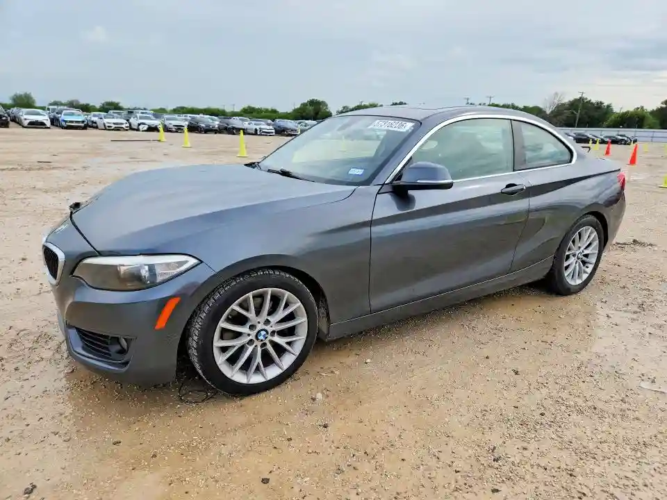 WBA1F5C55EVV99167 2014 BMW 2 SERIES-0