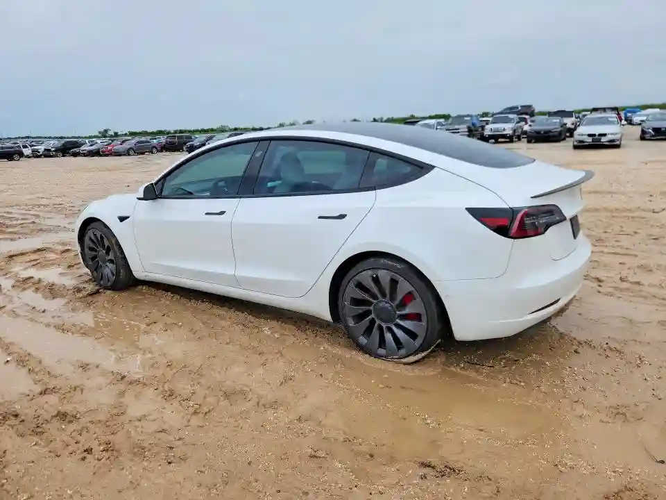 5YJ3E1ECXMF030816 2021 TESLA MODEL 3-1