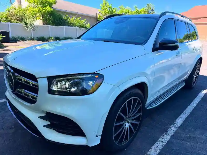 4JGFF8GE2LA165714 2020 MERCEDES-BENZ GLS-CLASS-0