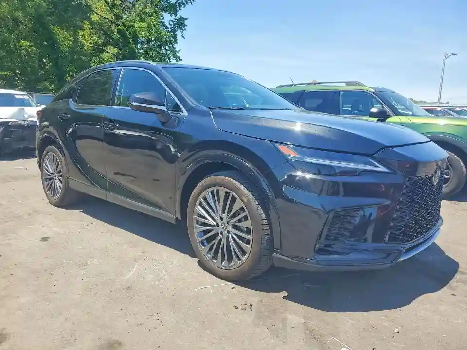 JTJCJMGA6S2025943 2025 LEXUS RX330-3