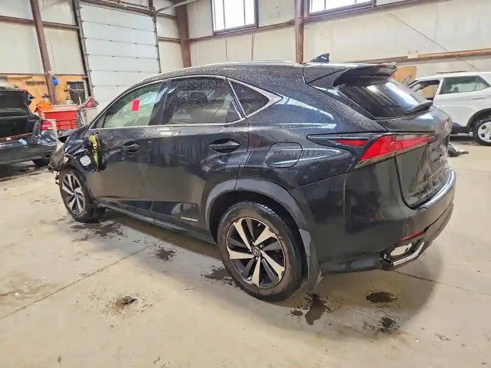 JTJHJRDZ4L2145030 2020 LEXUS NX-1