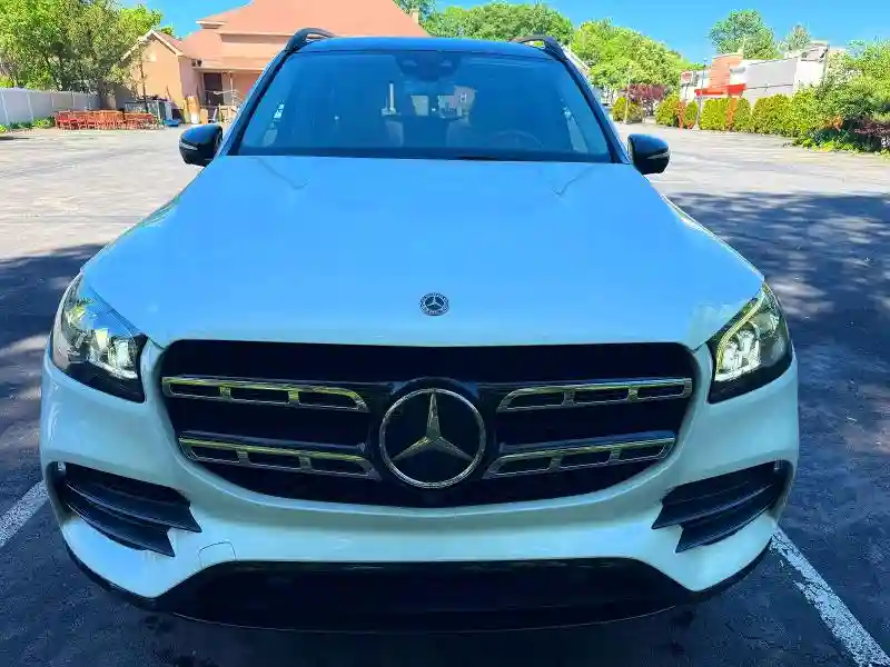 4JGFF8GE2LA165714 2020 MERCEDES-BENZ GLS-CLASS-4