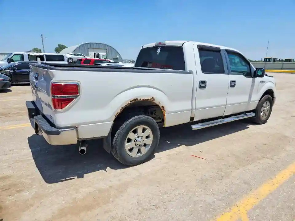 1FTFW1EV8AKC37876 2010 FORD F-150-2