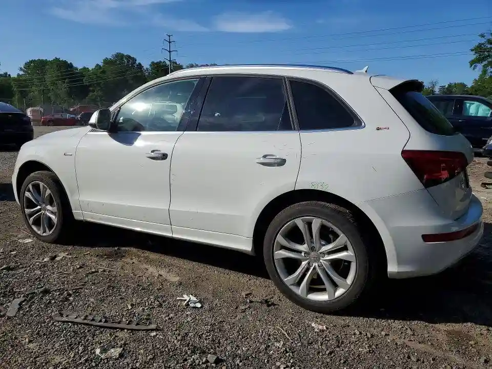WA1VGAFP7FA089929 2015 AUDI SQ5-1