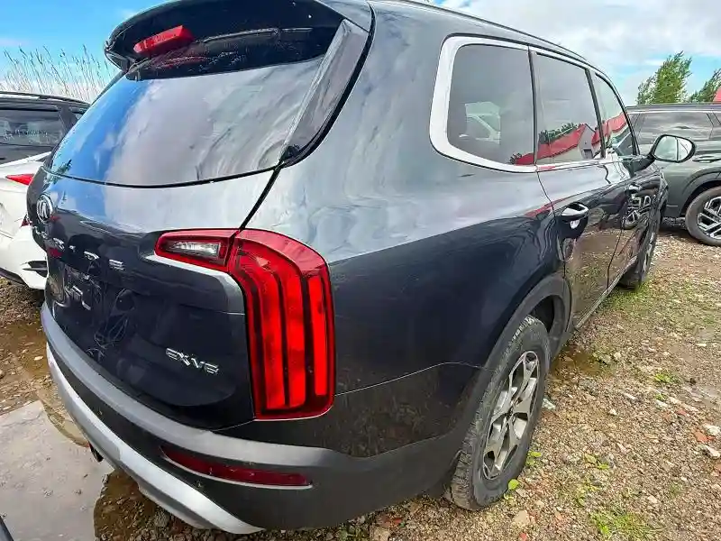 5XYP3DHCXMG179126 2021 KIA TELLURIDE-3
