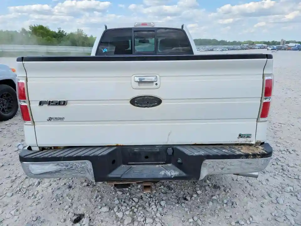 1FTFX1EV6AFA40307 2010 FORD F-150-5