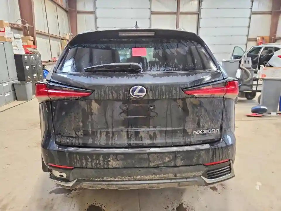 JTJHJRDZ4L2145030 2020 LEXUS NX-5