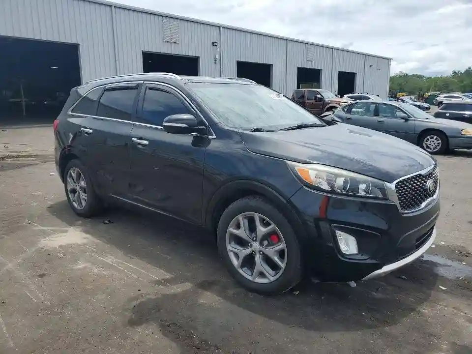5XYPK4A51HG205424 2017 KIA SORENTO-3