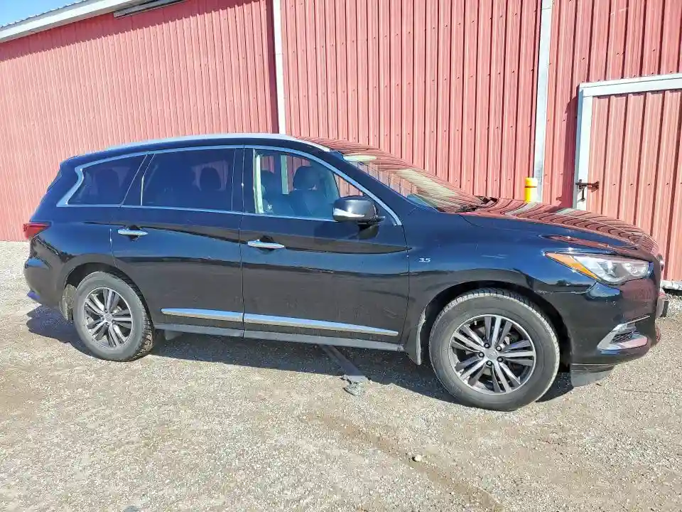 5N1DL0MM8KC508087 2019 INFINITI QX60 PURE-3