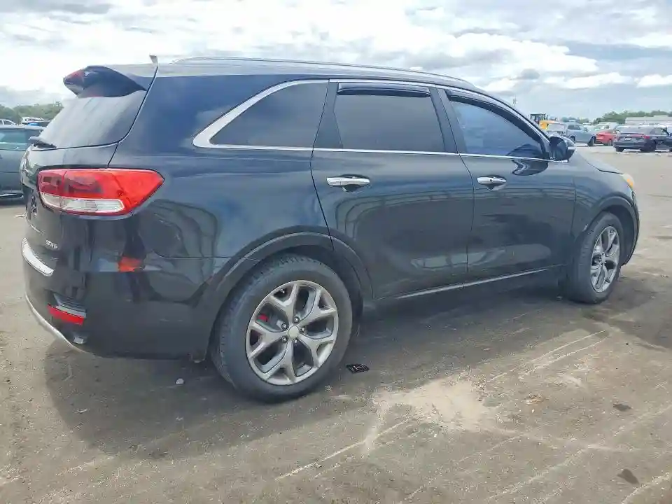 5XYPK4A51HG205424 2017 KIA SORENTO-2