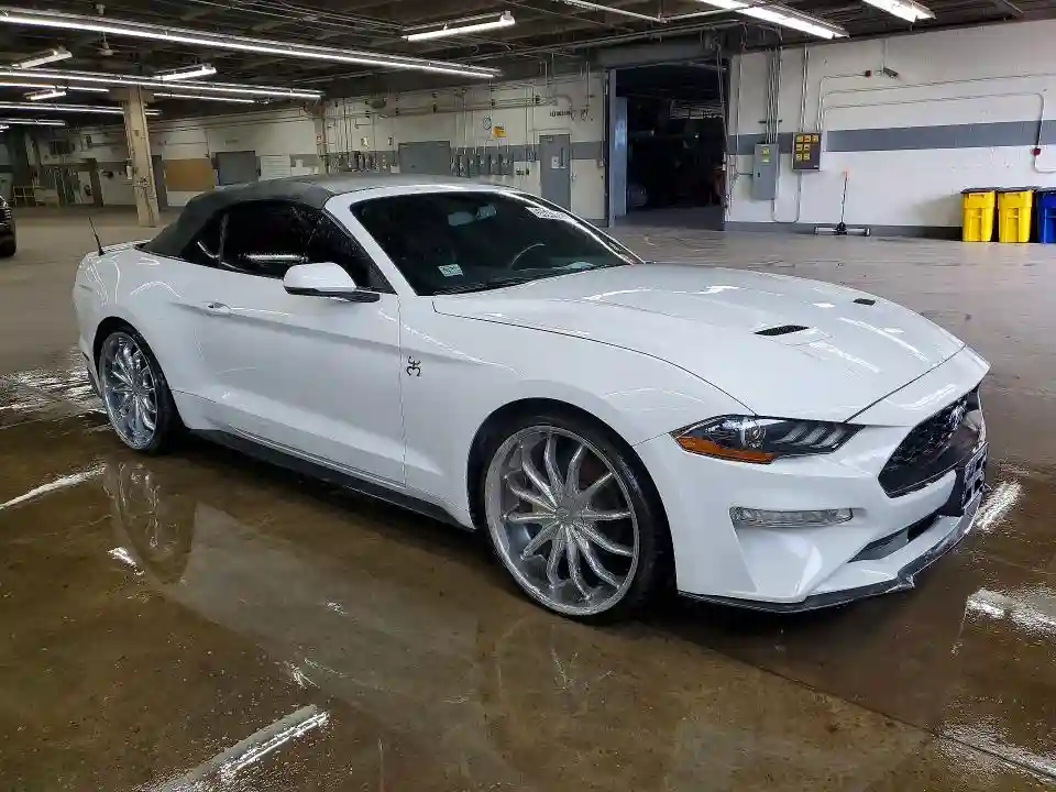 1FATP8UH5K5170292 2019 FORD MUSTANG-3