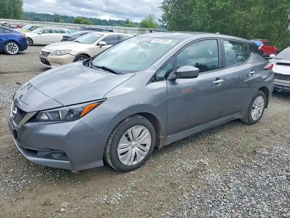 1N4AZ1BP5LC310034 2020 NISSAN LEAF-0
