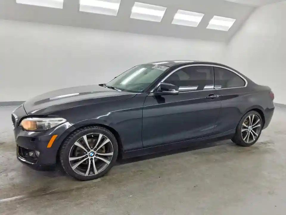 WBA2H9C34HV987015 2017 BMW 2 SERIES-0
