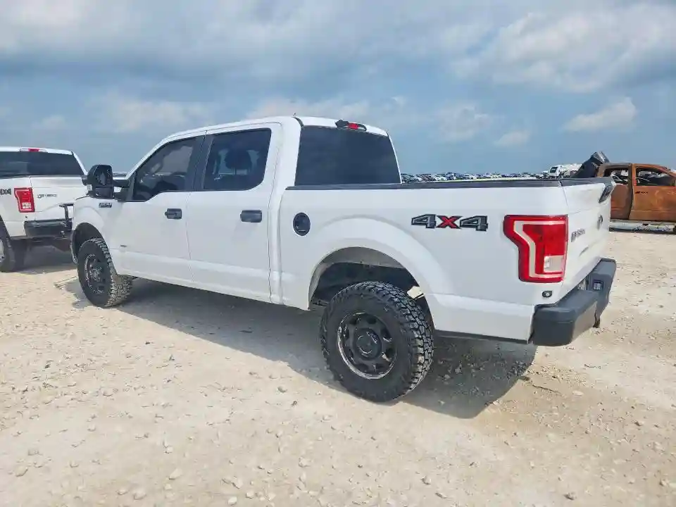 1FTEW1EG1FKE51869 2015 FORD F150-1