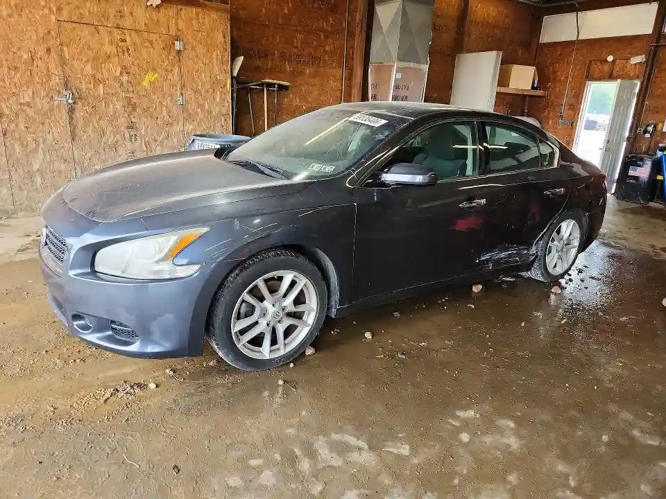 1N4AA5AP3AC808567 2010 NISSAN MAXIMA-0