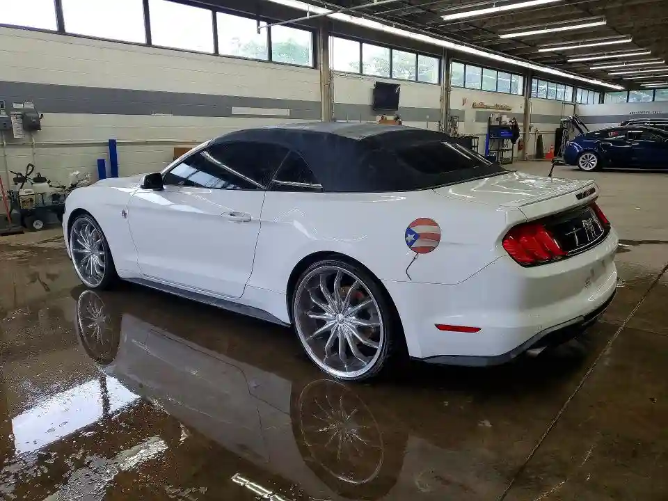 1FATP8UH5K5170292 2019 FORD MUSTANG-1