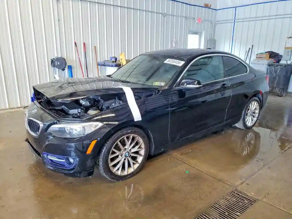 WBA1G9C54GV726630 2016 BMW 2 SERIES-0