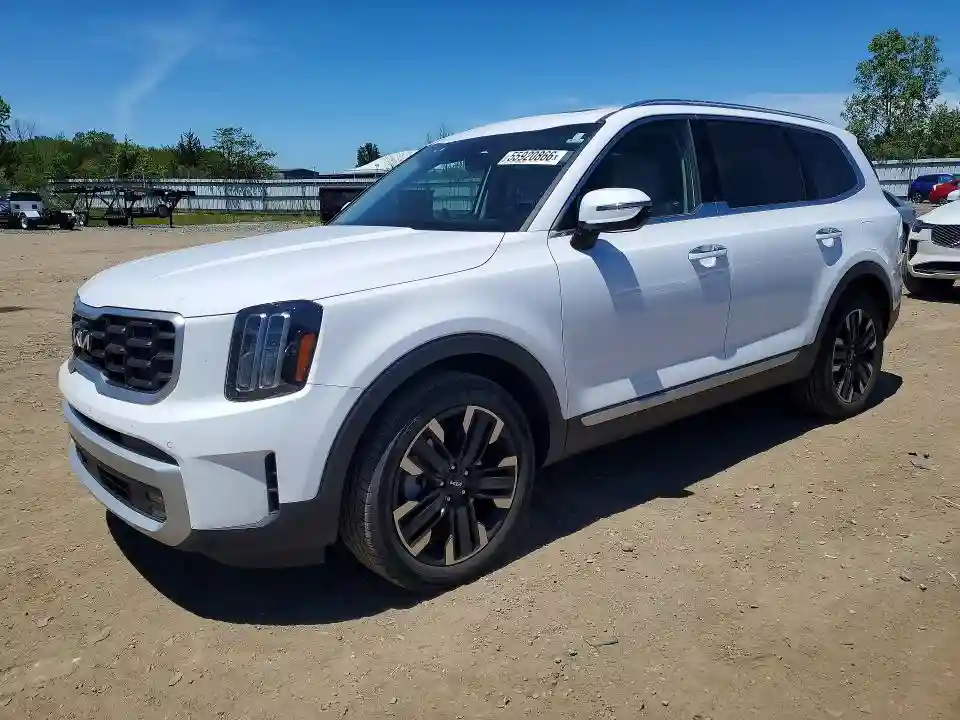 5XYP5DGC6RG551211 2024 KIA TELLURIDE-0