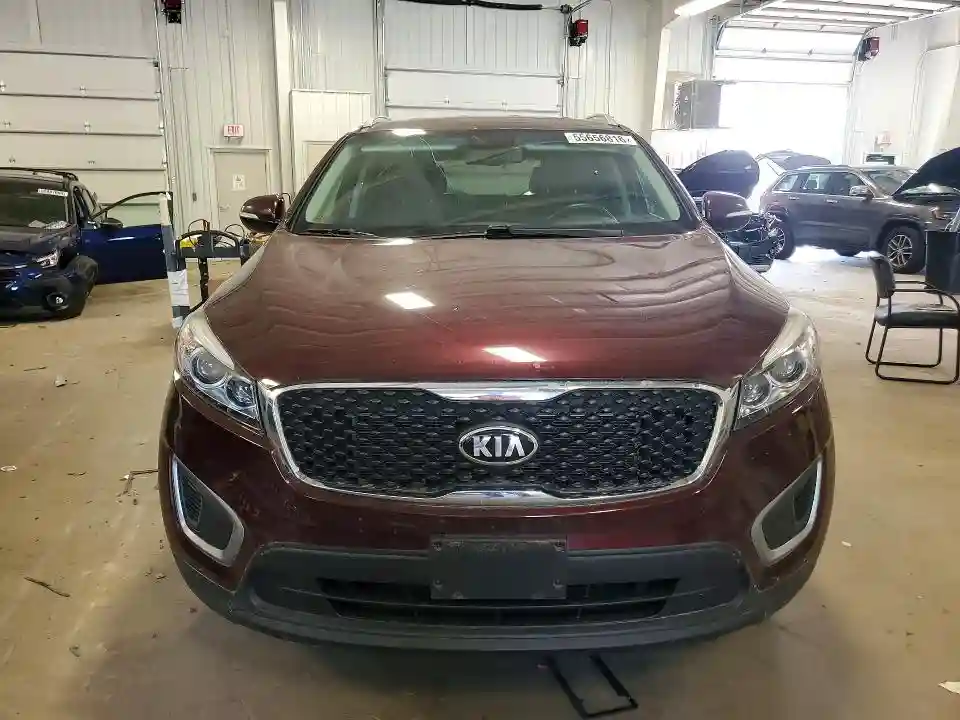 5XYPG4A32GG183271 2016 KIA SORENTO-4