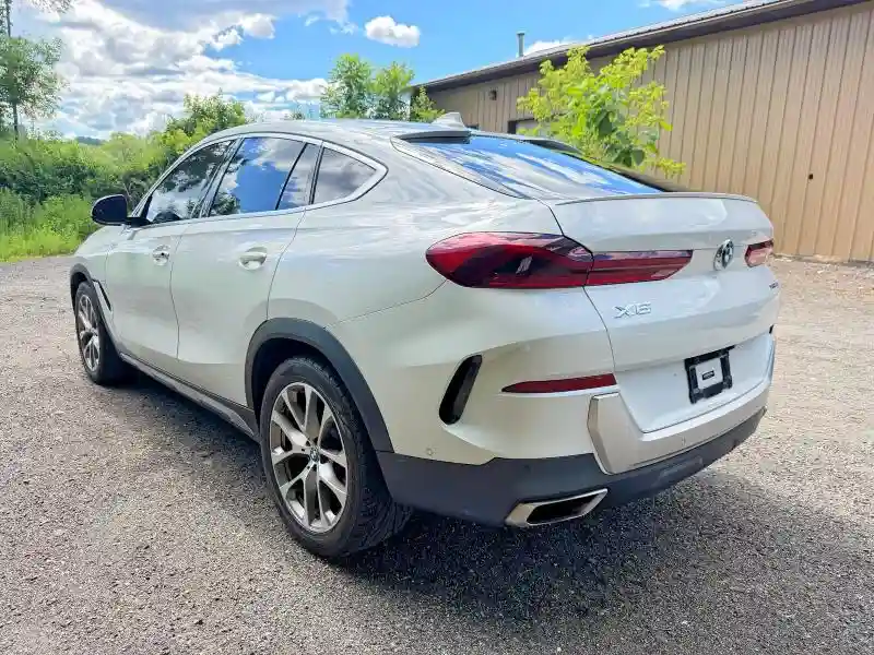 5UXCY6C0XL9D21128 2020 BMW X6-2