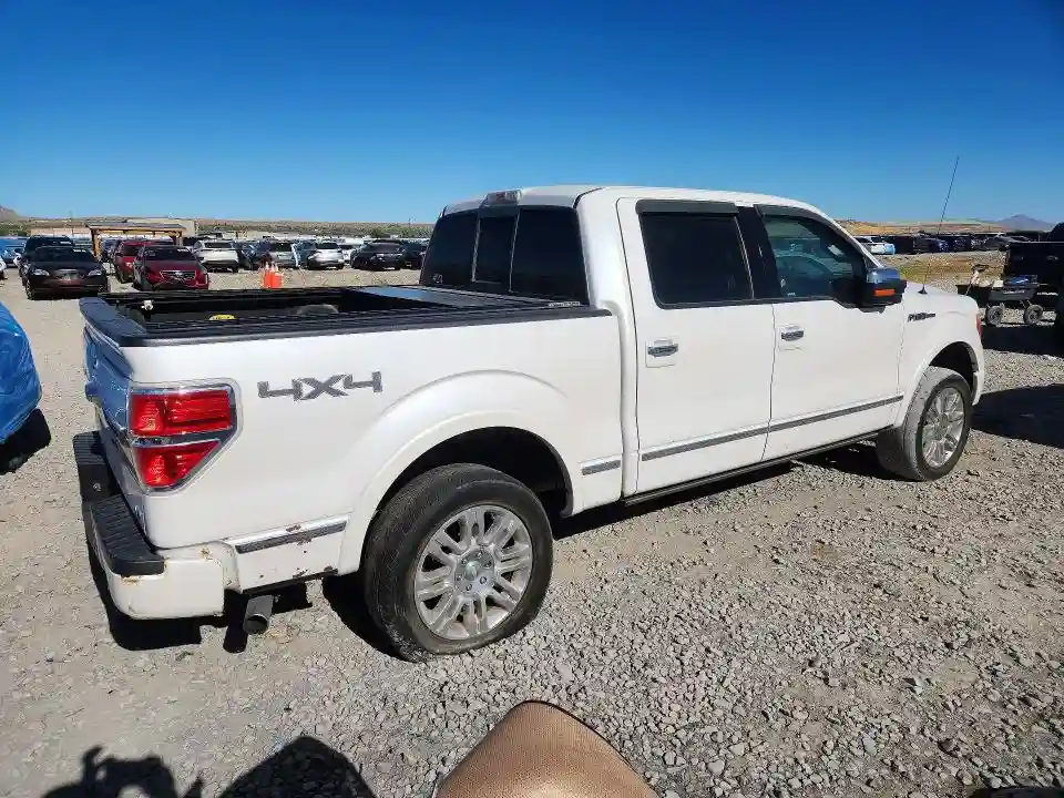1FTFW1EV8AFA65681 2010 FORD F150-2