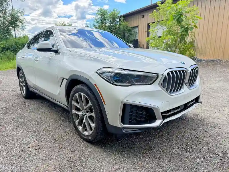 5UXCY6C0XL9D21128 2020 BMW X6-1