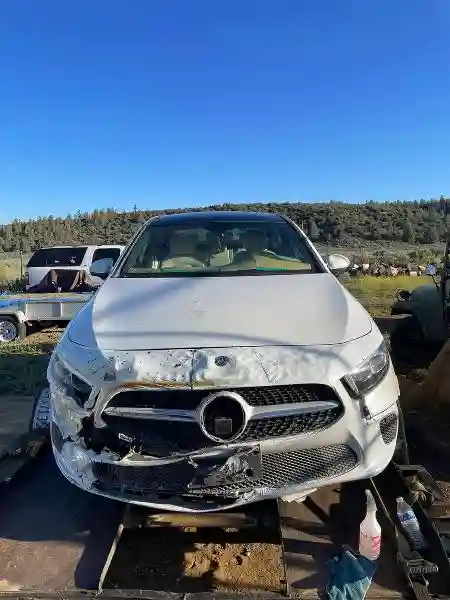 WDD3G4EB9LW038571 2020 MERCEDES-BENZ A-CLASS-1