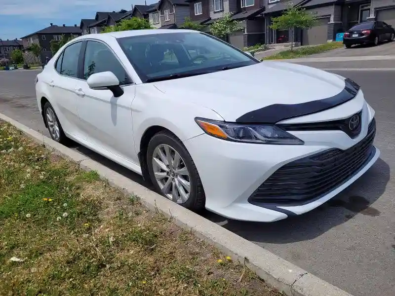 4T1C11AK8LU926137 2020 TOYOTA CAMRY-0