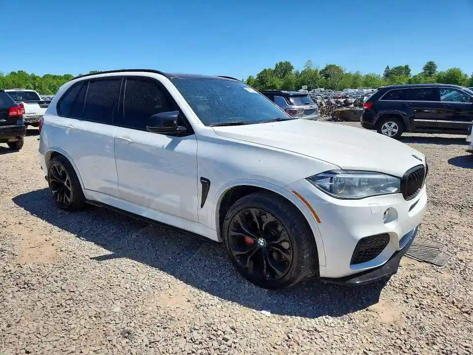 5UXKR6C58G0J79955 2016 BMW X5-3