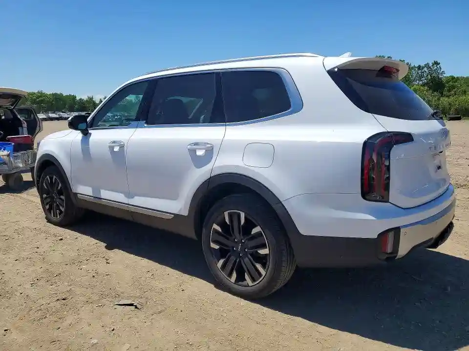 5XYP5DGC6RG551211 2024 KIA TELLURIDE-1
