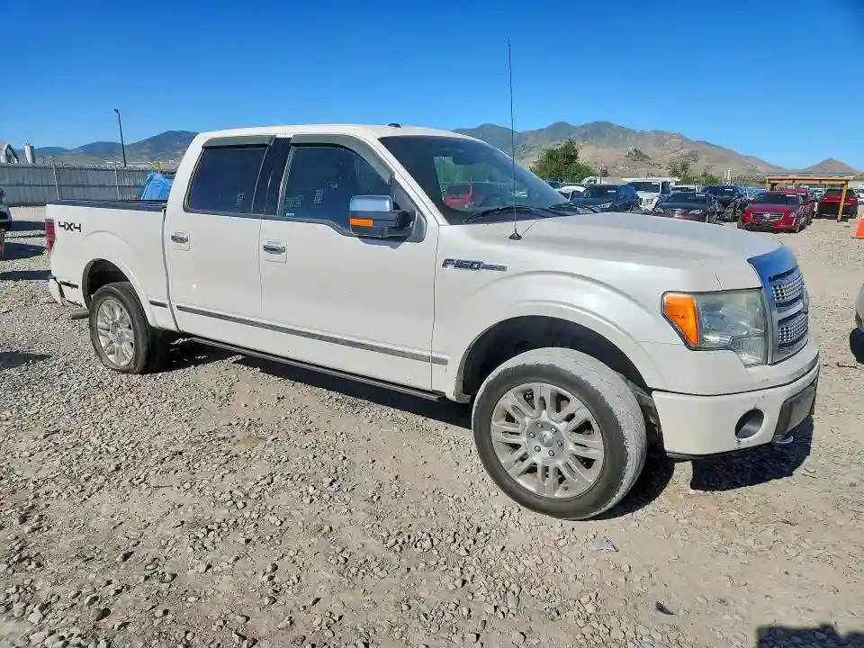 1FTFW1EV8AFA65681 2010 FORD F150-3
