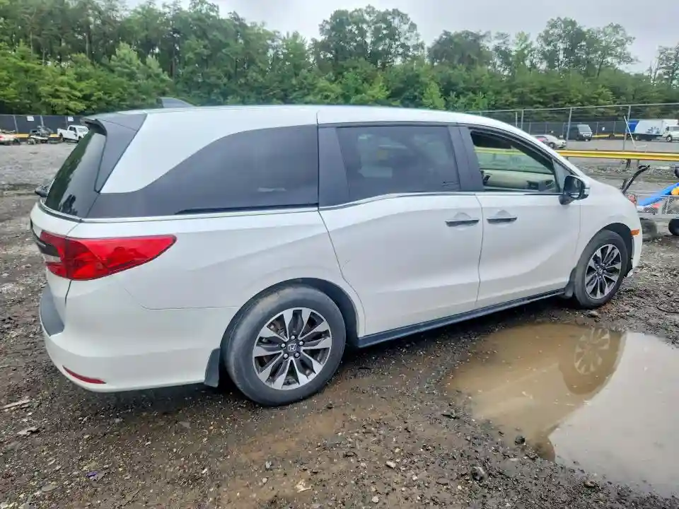 5FNRL6H65RB045623 2024 HONDA ODYSSEY-2