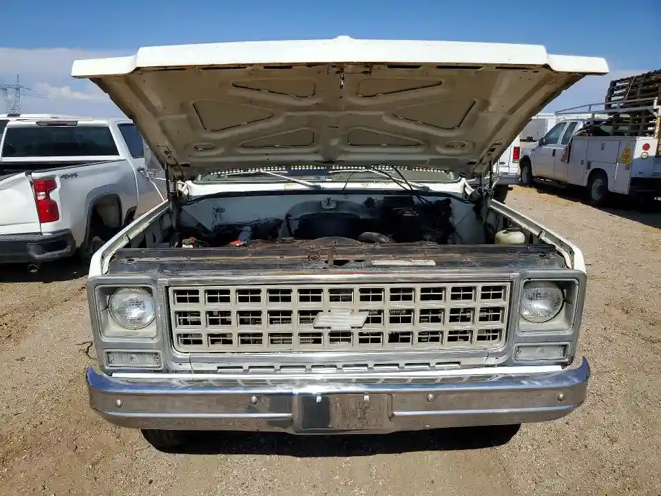 CCM33AJ118229 1980 CHEVROLET C 30-4
