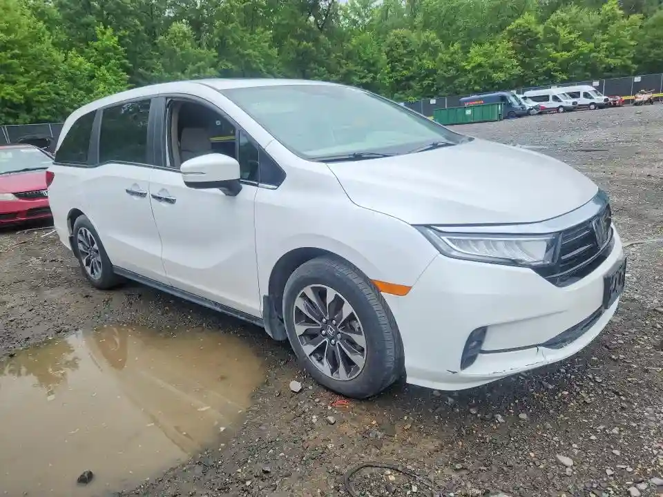 5FNRL6H65RB045623 2024 HONDA ODYSSEY-3