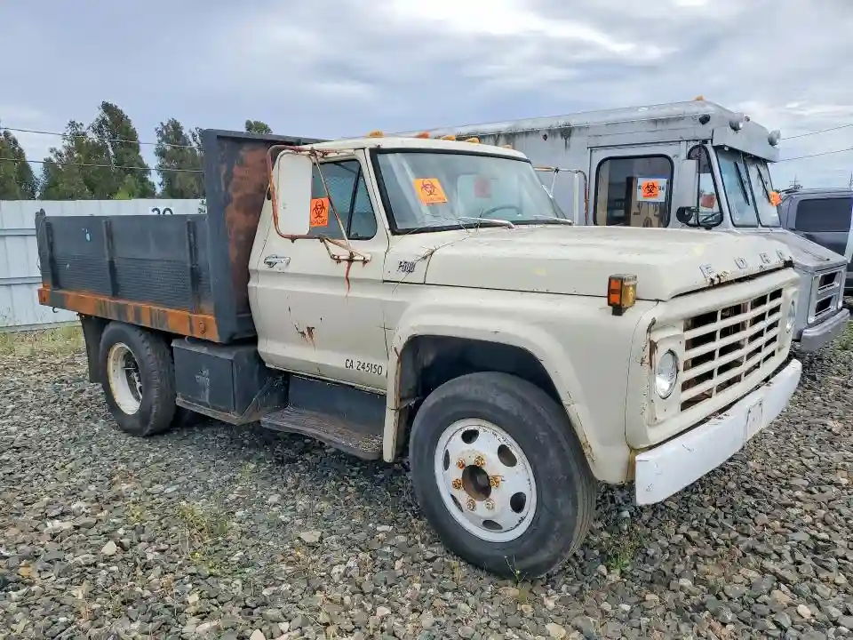 F50CVQ40065 1973 FORD F500-3