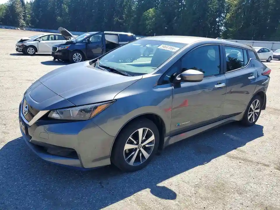 1N4BZ1CP7KC317276 2019 NISSAN LEAF-0