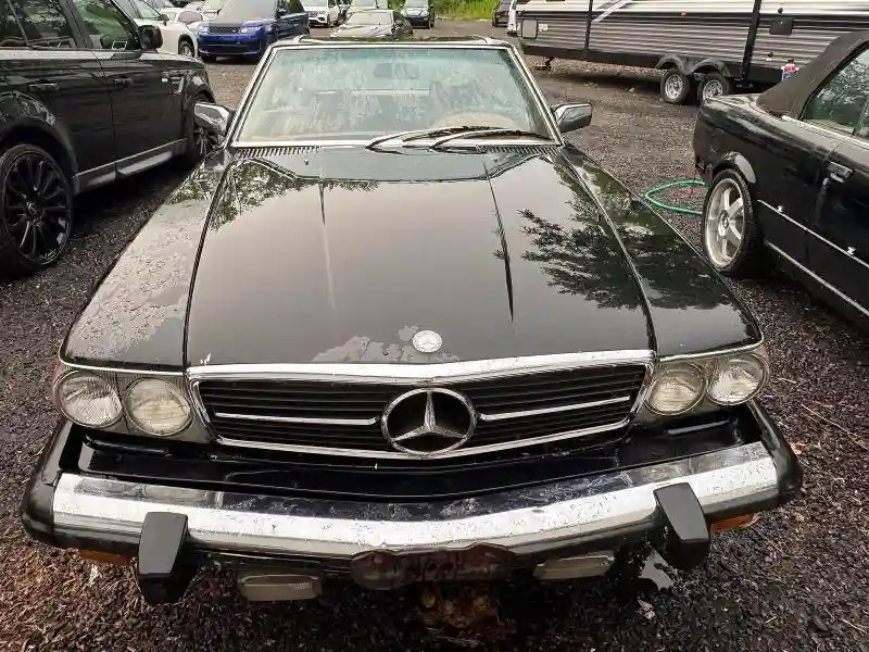 10704412030035 1976 MERCEDES-BENZ 450-CLASS-5