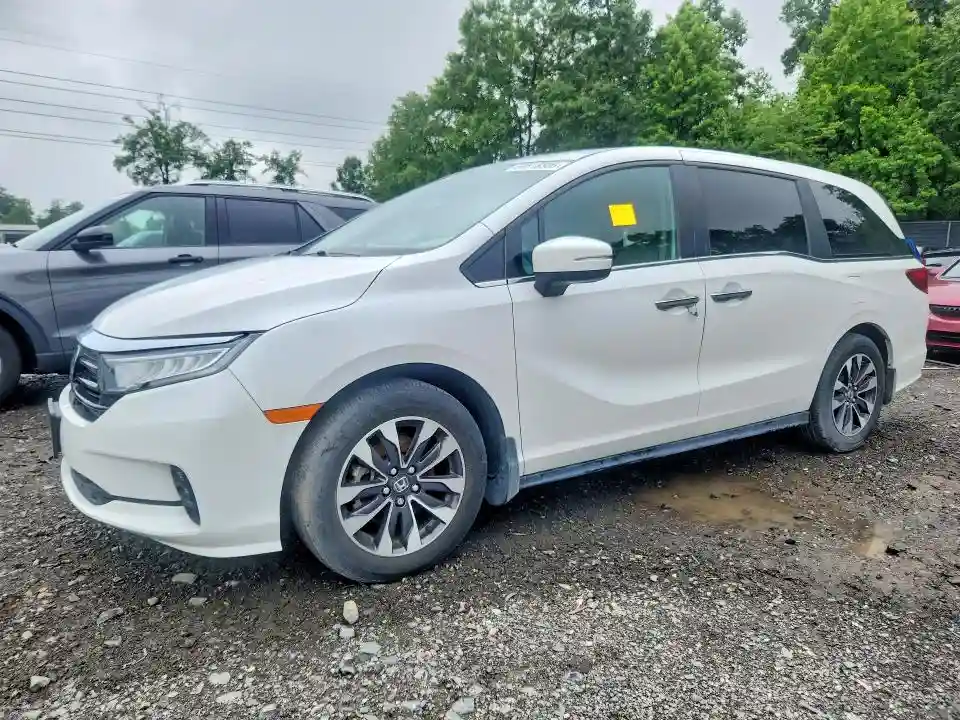 5FNRL6H65RB045623 2024 HONDA ODYSSEY-0