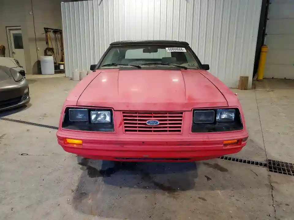1FABP2735EF117972 1984 FORD MUSTANG-4