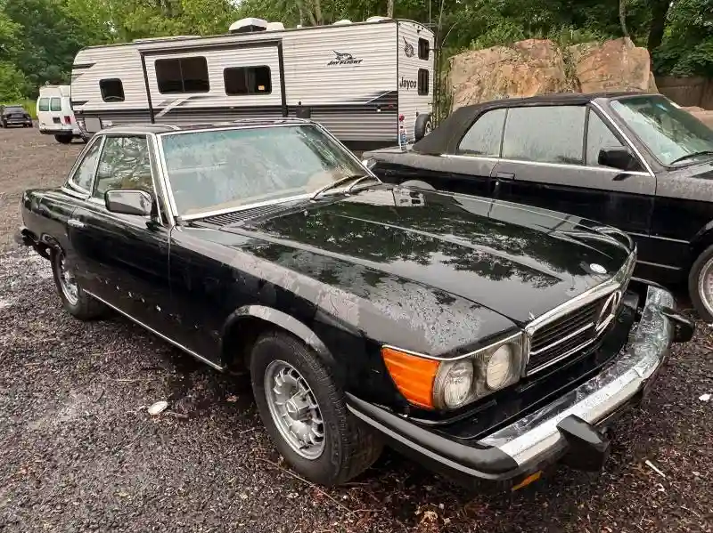 10704412030035 1976 MERCEDES-BENZ 450-CLASS-3