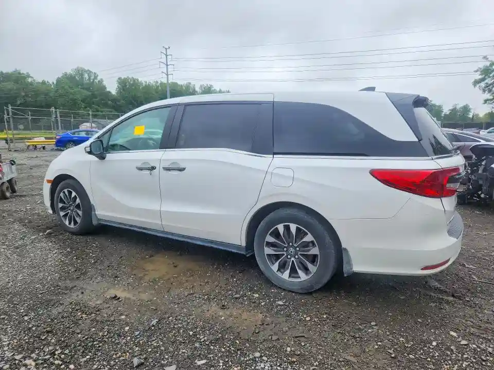 5FNRL6H65RB045623 2024 HONDA ODYSSEY-1
