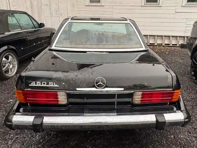 10704412030035 1976 MERCEDES-BENZ 450-CLASS-4